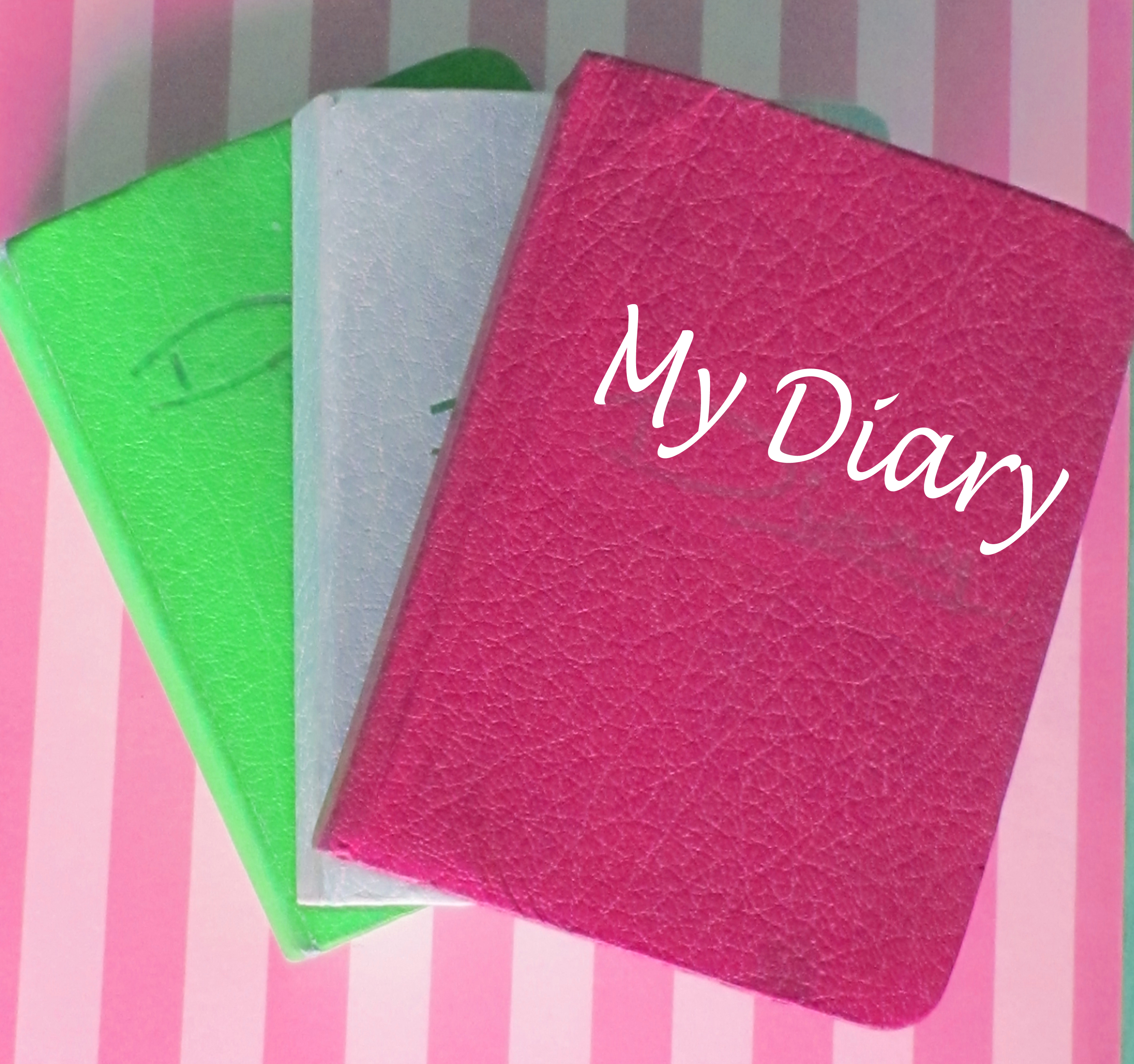diary stacked logo